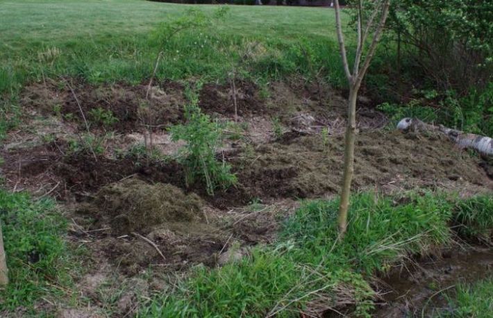 Metode pentru imbunatatirea solului