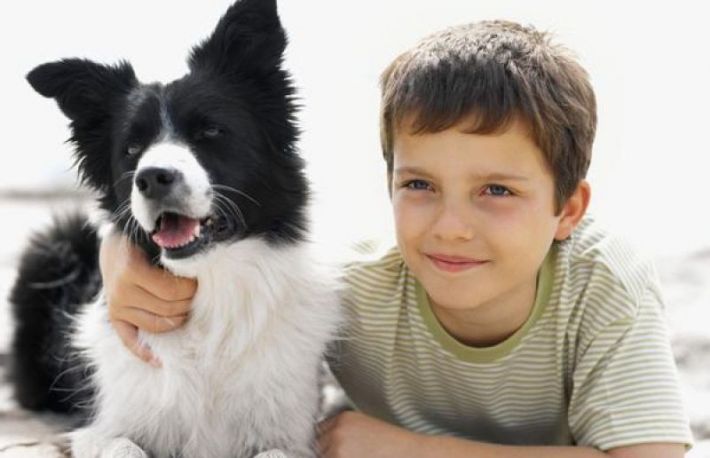 Cum sa asiguri sanatatea si siguranta copiilor daca ai animale de companie?