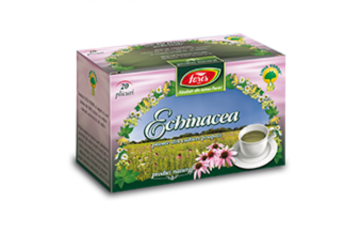 Proprietatile ceaiului de echinaceea