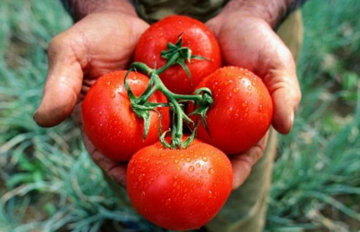 Rosiile de gradina: 5 motive sa le consumi cu seminte