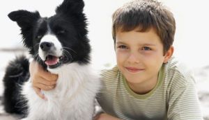 Cum sa asiguri sanatatea si siguranta copiilor daca ai animale de companie?