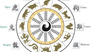 Zodiac chinezesc: Ce animal esti si care sunt trasaturile tale de personalitate