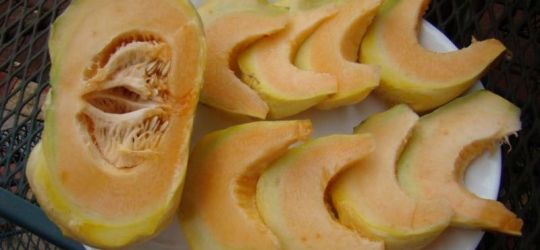 Dulceata de pepene galben