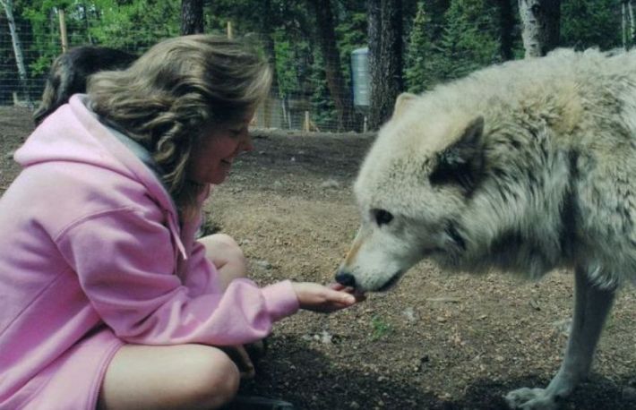 Cum poti stabili o buna relatie cu orice fel de animale?
