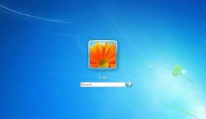 Cum poate fi setata o parola Windows?