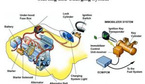 Cum sa inlocuiesti un alternator de masina